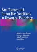Lopez-Beltran / Cheng / Menendez |  Rare Tumors and Tumor-like Conditions in Urological Pathology | Buch |  Sack Fachmedien