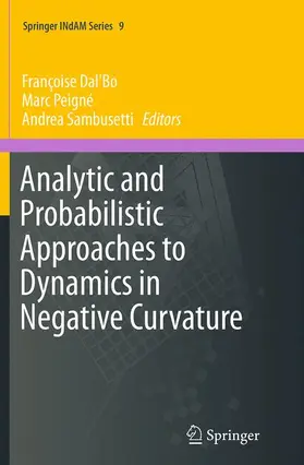 Dal'Bo / Sambusetti / Peigné |  Analytic and Probabilistic Approaches to Dynamics in Negative Curvature | Buch |  Sack Fachmedien