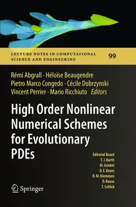 Abgrall / Beaugendre / Ricchiuto |  High Order Nonlinear Numerical Schemes for Evolutionary PDEs | Buch |  Sack Fachmedien