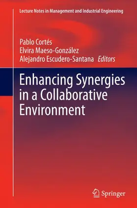 Cortés / Escudero-Santana / Maeso-González |  Enhancing Synergies in a Collaborative Environment | Buch |  Sack Fachmedien
