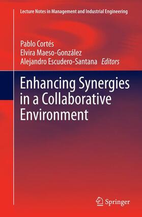 Cortés / Escudero-Santana / Maeso-González | Enhancing Synergies in a Collaborative Environment | Buch | 978-3-319-38282-1 | sack.de