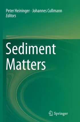 Cullmann / Heininger |  Sediment Matters | Buch |  Sack Fachmedien