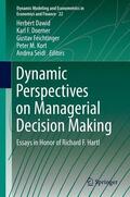 Dawid / Doerner / Seidl |  Dynamic Perspectives on Managerial Decision Making | Buch |  Sack Fachmedien