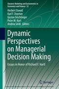 Dawid / Doerner / Feichtinger |  Dynamic Perspectives on Managerial Decision Making | eBook | Sack Fachmedien