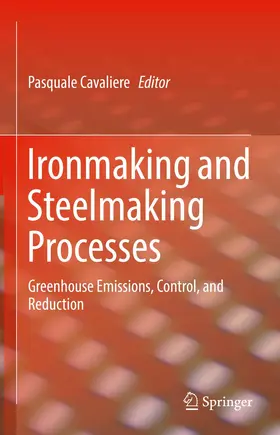 Cavaliere |  Ironmaking and Steelmaking Processes | Buch |  Sack Fachmedien