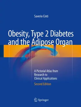 Cinti | Obesity, Type 2 Diabetes and the Adipose Organ | Buch | 978-3-319-40520-9 | www.sack.de