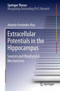 Fernández Ruiz |  Extracellular Potentials in the Hippocampus | Buch |  Sack Fachmedien