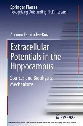 Fernández Ruiz | Extracellular Potentials in the Hippocampus | E-Book | www.sack.de