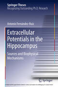 Fernández Ruiz |  Extracellular Potentials in the Hippocampus | eBook | Sack Fachmedien