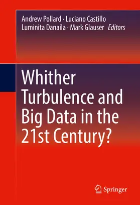 Pollard / Castillo / Danaila | Whither Turbulence and Big Data in the 21st Century? | E-Book | www.sack.de