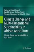 Lal / Kraybill / Eik |  Climate Change and Multi-Dimensional Sustainability in African Agriculture | Buch |  Sack Fachmedien