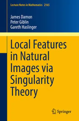 Damon / Giblin / Haslinger |  Local Features in Natural Images via Singularity Theory | eBook | Sack Fachmedien