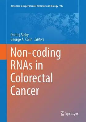 Slaby / Calin |  Non-coding RNAs in Colorectal Cancer | Buch |  Sack Fachmedien
