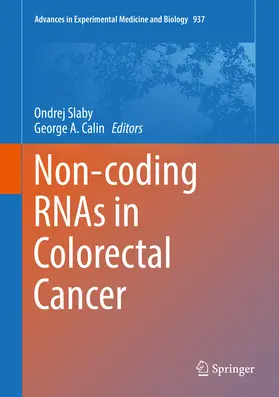 Slaby / Calin |  Non-coding RNAs in Colorectal Cancer | eBook | Sack Fachmedien
