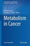 A. Schmitt / Cramer |  Metabolism in Cancer | Buch |  Sack Fachmedien
