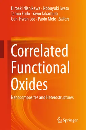 Nishikawa / Iwata / Endo |  Correlated Functional Oxides | eBook | Sack Fachmedien