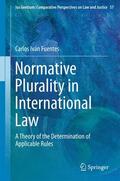 Fuentes |  Normative Plurality in International Law | Buch |  Sack Fachmedien