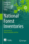 Vidal / Alberdi / Hernández Mateo |  National Forest Inventories | eBook | Sack Fachmedien