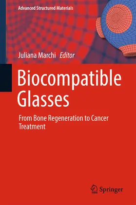 Marchi | Biocompatible Glasses | E-Book | sack.de