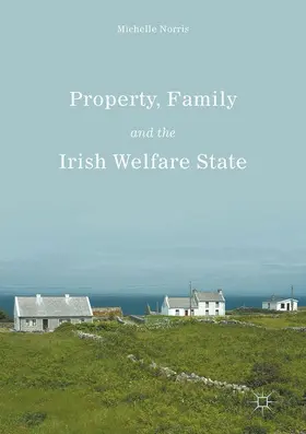 Norris |  Property, Family and the Irish Welfare State | Buch |  Sack Fachmedien