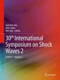 Ben-Dor / Igra / Sadot |  30th International Symposium on Shock Waves 2 | Buch |  Sack Fachmedien