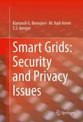 Boroojeni / Amini / Iyengar |  Boroojeni, K: Smart Grids: Security and Privacy Issues | Buch |  Sack Fachmedien
