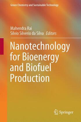 da Silva / Rai | Nanotechnology for Bioenergy and Biofuel Production | Buch | 978-3-319-45458-0 | sack.de