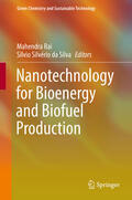 Rai / da Silva |  Nanotechnology for Bioenergy and Biofuel Production | eBook | Sack Fachmedien