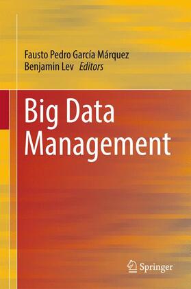 Lev / García Márquez |  Big Data Management | Buch |  Sack Fachmedien