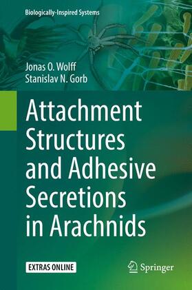 Gorb / Wolff | Attachment Structures and Adhesive Secretions in Arachnids | Buch | 978-3-319-45712-3 | sack.de
