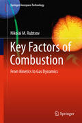 Rubtsov |  Key Factors of Combustion | eBook | Sack Fachmedien