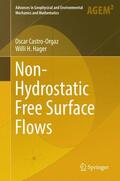 Hager / Castro-Orgaz |  Non-Hydrostatic Free Surface Flows | Buch |  Sack Fachmedien