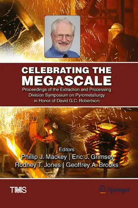 Mackey / Grimsey / Jones |  Celebrating the Megascale | eBook | Sack Fachmedien