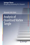 Taylor |  Analysis of Quantised Vortex Tangle | eBook | Sack Fachmedien