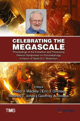 Mackey / Brooks / Grimsey |  Celebrating the Megascale | Buch |  Sack Fachmedien