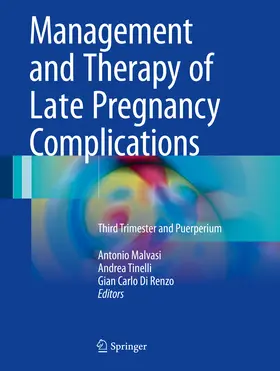Malvasi / Tinelli / Di Renzo |  Management and Therapy of Late Pregnancy Complications | eBook | Sack Fachmedien