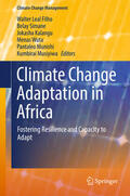Leal Filho / Belay / Kalangu |  Climate Change Adaptation in Africa | eBook | Sack Fachmedien