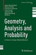 Bost / Hofer / Zhang |  Geometry, Analysis and Probability | Buch |  Sack Fachmedien