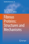 Parry / Squire |  Fibrous Proteins: Structures and Mechanisms | eBook | Sack Fachmedien