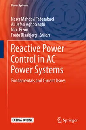 Mahdavi Tabatabaei / Jafari Aghbolaghi / Bizon |  Reactive Power Control in AC Power Systems | eBook | Sack Fachmedien