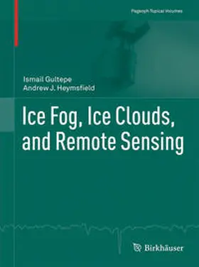Heymsfield / Gultepe |  Ice Fog, Ice Clouds, and Remote Sensing | Buch |  Sack Fachmedien