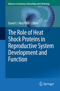 MacPhee |  The Role of Heat Shock Proteins in Reproductive System Development and Function | eBook | Sack Fachmedien