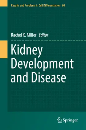 Miller | Kidney Development and Disease | E-Book | sack.de