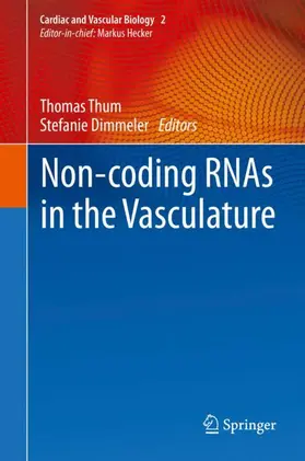 Dimmeler / Thum |  Non-coding RNAs in the Vasculature | Buch |  Sack Fachmedien