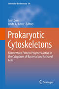 Löwe / Amos |  Prokaryotic Cytoskeletons | eBook | Sack Fachmedien