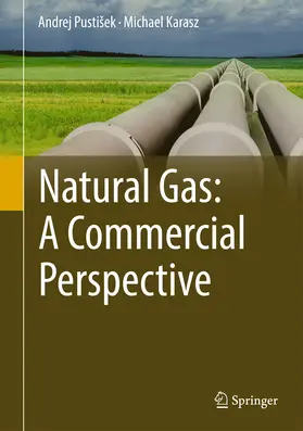 Pustišek / Pustisek / Karasz | Natural Gas: A Commercial Perspective | E-Book | www.sack.de