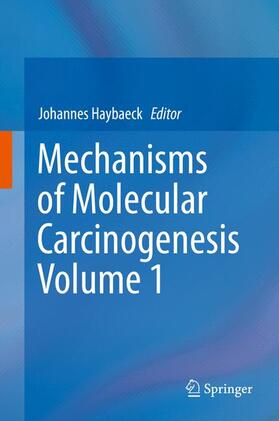 Haybaeck | Mechanisms of Molecular Carcinogenesis ¿ Volume 1 | Buch | 978-3-319-53657-6 | sack.de