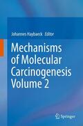 Haybaeck |  Mechanisms of Molecular Carcinogenesis ¿ Volume 2 | Buch |  Sack Fachmedien