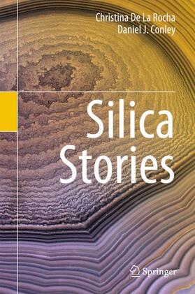 Conley / De La Rocha |  Silica Stories | Buch |  Sack Fachmedien