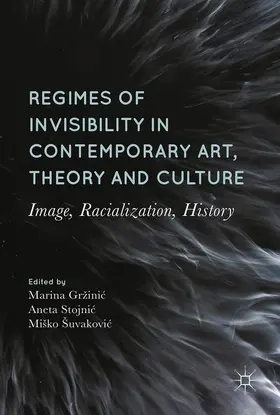 Gržinic / Gržinic / Šuvakovic | Regimes of Invisibility in Contemporary Art, Theory and Culture | Buch | 978-3-319-55172-2 | sack.de